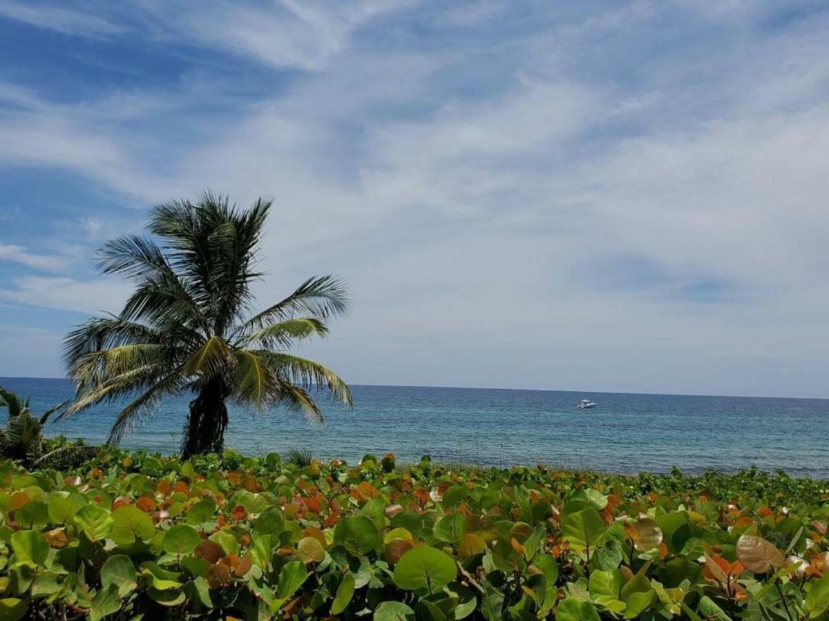 Beautiful Spacious And Luxury Delray Beach House! Near The Beach! Exterior photo